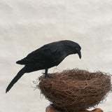 Maxbell 3x Artificial Realistic Birds Ravens Crows for Garden Halloween Decoration