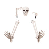 Maxbell Skeleton Stakes Lawn Decoration Outdoor Yard Lawn Stake for Party Porch Lawn