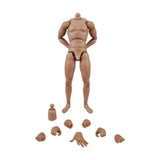 Maxbell 1/6 Scale Male Body Sturdy Collection Narrow Shoulder 12 inch Jointed Figure