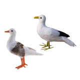 Maxbell 2Pcs Artificial Bird Feather Realistic Home Garden Decor Ornament Seagull