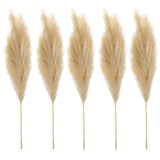 Maxbell Maxbell Faux Artificial Pampas Grass 70cm Decor Bouquet for Home Decor light brown