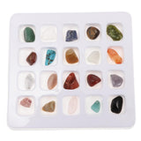 Maxbell Rock & Mineral Collection Geology Science Kit Earth Science Toy - Pack of 20