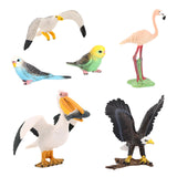 Maxbell 5x Birds Animal Figures Eduactional Toy for Toddlers Children Birthday Gifts