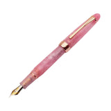 Maxbell Piston Fountain Pen Ef0.5mm Acrylic Piston Filling Pen for Signatures Writing pink
