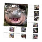Maxbell Hippopotamuses 2025 Calendar Christmas Calendar Gift Hippos Monthly Calender Style A