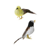 Maxbell Set 2 Artificial Small Bird Realistic ORNAMENTS Feather Taxidermy Tree Decor