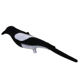 Maxbell Maxbell Full Flocked Realistic Calling Magpie Decoy Shooting/Hunting Decoying Bait