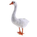Maxbell Garden Decoration Artificial Simulated Swan Ornament Art Figurine Display #1 - Aladdin Shoppers