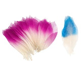 Maxbell 100 Pieces Natural Magnolia Skeleton Leaf Leaves for DIY Crafts Purple Blue - Aladdin Shoppers