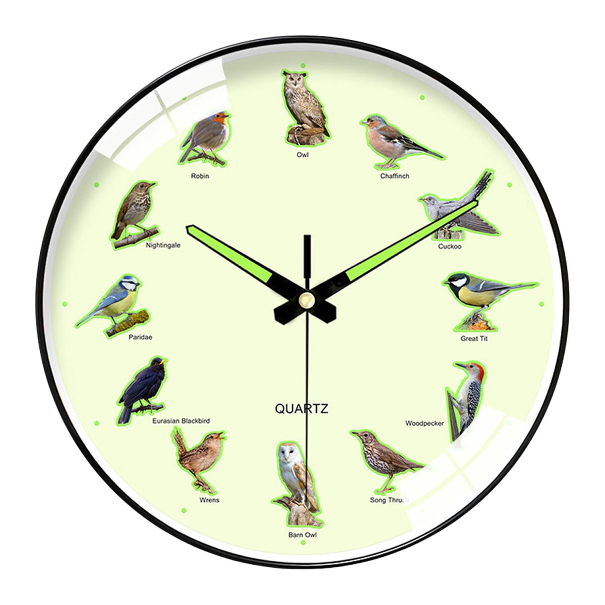 Maxbell 30cm Bird Motif Fluorescent Wall Clock for Housewarming Gift Wall Decoration Black