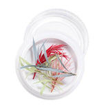 Maxbell Maxbell Dried Flowers Nail Art Manicure Tools For Acrylic Uv Gel Tips Decoration 14