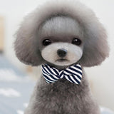 Maxbell Maxbell Pet Dog Cat Holiday Party Bow Tie Collars With Ring Bell S Blue-Stripe