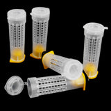 Maxbell 5 Queen Bee Roller Rearing Cages Holder+5 Clip Queen Bee Catcher Beekeeping Tool