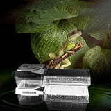 Maxbell Maxbell Reptile Lizard Spider Beetle Scorpion Insect Vivarium Feed/Rearing Box Black
