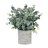Maxbell Artificial Small Potted Plants for Desktop Ornament Desk Tabletop Decoration Roundleaf Grass
