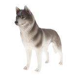 Maxbell Maxbell 2pcs Simulation Wild Animal Model Figure Toys Figurine Home Decor Husky