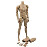 Maxbell Narrow Shoulder 1/6 Scale 12inch Male Nude Action Figure Body For TTM19 Toy
