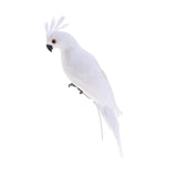 2Pcs Realistic Macaw Parrot Artificial Feather Bird Animal Ornament Kids Toy