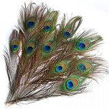 Maxbell 20 Pcs Peacock Eye Tail Feathers for Craft Mask Hat 9-13 Inch