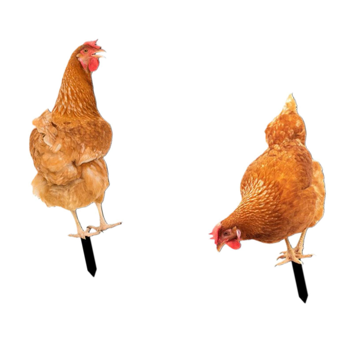 Maxbell 2 Pieces Chicken Statue Stake Animals Figurines Stake for Patio Pathway Pond