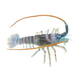 Maxbell Maxbell Aquarium Decor Ornament Artificial Lobsters for Home Fish Tank Decor Green