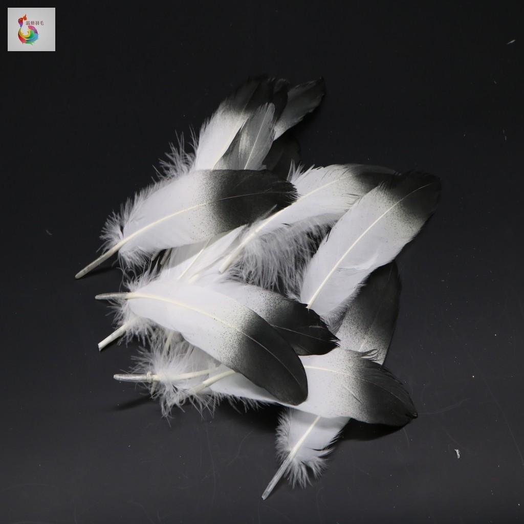 Maxbell Maxbell 12pcs Natural Goose Feather 15-20CM DIY Craft Accessories Black+White