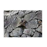 Maxbell Maxbell Aquarium Single-sided Adhesive Poster Background Sticker Stone 61x30cm