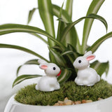 Maxbell 4xMiniature Resin Dollhouse Bonsai Garden Ornament Landscape Rabbits 10pcs