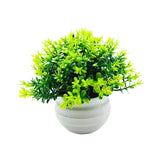 Maxbell Fake Plant in Pot Photo Props Faux Bonsai for Farmhouse Room Indoor Bedroom