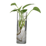 Maxbell 9xGlass Hydroponic Pot Flowers Vase Fairy Garden DIY Terrarium Container J