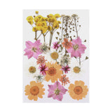Maxbell Dried Pressed Flowers Mixed Decorative for Nail Art Candle Soap Making Epoxy Orange Pink