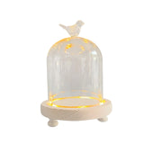 Maxbell Glass Cloche Dome Party DIY Micro Landscape Holder Clear Bell Jar 9x11cm Bird