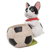 Maxbell Creative Sports Ball Shape Succulent Plant Pot for Home Decor Soccer