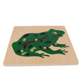 2 Piece Children Wooden Montessori Animal Peg Jigsaw Puzzle Toy 01