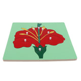 Maxbell Maxbell Montessori Wooden Flower Plant Jigsaw Puzzle Panel Kids Baby Toys Flower