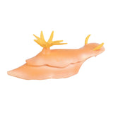 Maxbell Lifelike Marine Animal Figure Toys Science Animal Teaching for Home Tabletop