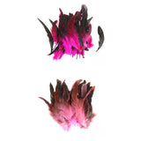 Maxbell Bulk Sale 100PCS Beautiful Rooster Feathers 12-18cm / 4-7inch Craft Red/Pink