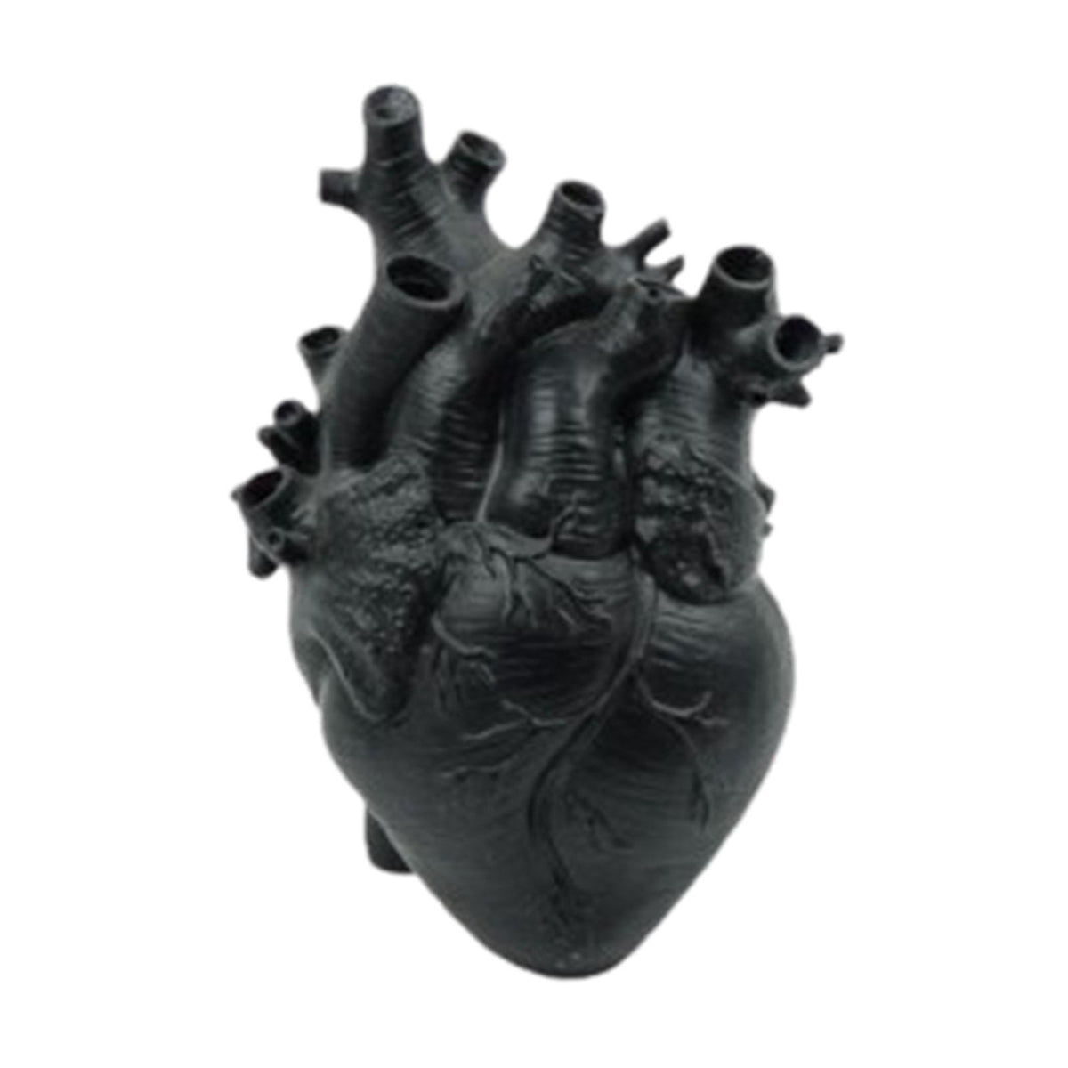 Maxbell Anatomical Heart Vase Creative Abstract Art Vase for Cafe Restaurant Desktop Black
