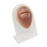 Maxbell Human Body Part Models Silicone Modeling for Home mouse with stand