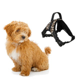 Maxbell Maxbell Pet Dog Saddle Vest Harness Chest Strap Padded Walking Harness Leopard_L
