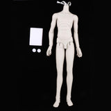 Maxbell Male Doll Nude Body Ball Jointed Model For 1/3 BJD Doll DIY Parts White Skin