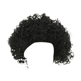Maxbell Punk Metal Rocker Character Costume Wig Fancy Dress Wig for Family Women Men Black