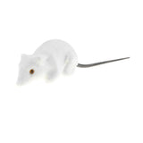 Maxbell 2x Realistic Mouse Statue Emulation Animal Model Kids Educational Toy