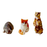 3Pcs 1/64 Cat Figure Model for Moss Landscapes Desk & Car Decorations Crafts Style A