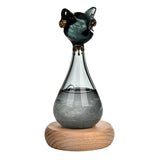 Windstorm Glass Weather Predictor Office Christmas Weather Forecast Bottle Black