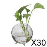 Maxbell 30xGlass Hydroponic Pot Flowers Vase Fairy Garden DIY Terrarium