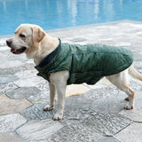 Maxbell Maxbell Classic Pet Windproof Waterproof Winter Padded Vest Jacket Coat   Green-XL