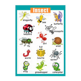 Maxbell Kids Baby Learning Poster Preschool Educational Wall Posters Insect - Aladdin Shoppers