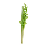 Maxbell Artificial Vegetable Centerpiece Dining Room Shop Party Simulation Vegetable Celery 39x5cm