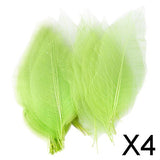 Maxbell 4x50Pcs Natural Catbrier Skeleton Leaf Leaves Card Scrapbook - Green